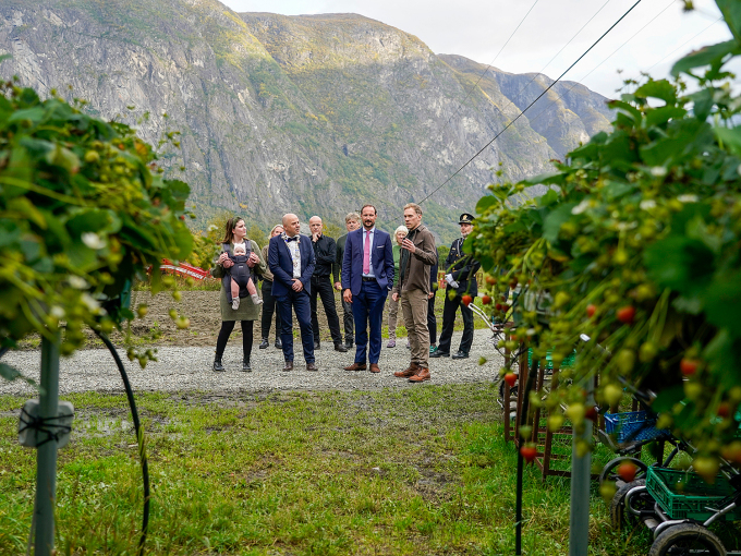 Kronprins Haakon besøkte fruktbøndene Eirik Skjerdal Lysne og Synne Skjerdal Lysne på Sande gard. Foto: Terje Pedersen / NTB